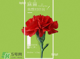 母亲节打折吗,母亲节礼物便宜又实用