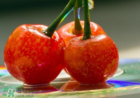 端午节还有樱桃吗,樱桃节是几月几日