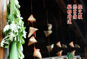 端午节为什么挂艾草呢,端午节为什么挂艾草和桃枝 端午节为什么挂艾草呢,端午节为什么挂艾草和桃枝