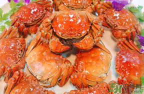 五月份有大闸蟹吗?,大闸蟹几月份没有