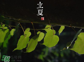 每年的立夏是什么时候,1990年的立夏是什么时候