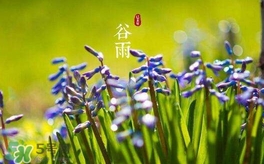 谷雨养生吃什么,谷雨养生吃什么好