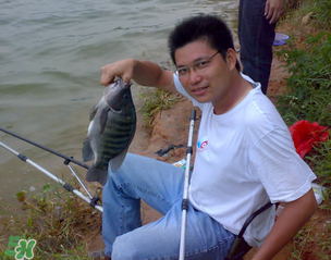 雨天钓鱼技巧,钓鱼雨前好还是雨后好