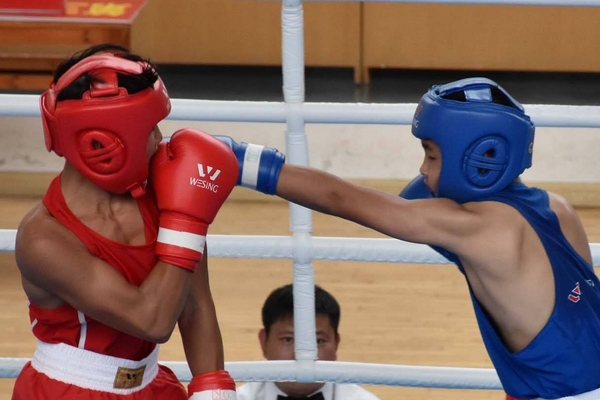 拳击护具有哪些(拳击护具有哪些)