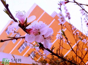 4月份天气情况,2017年4月天气 4月份天气情况,2017年4月天气