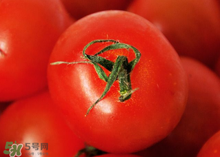 五月份吃什么蔬菜最好,五月份吃什么蔬菜的季节