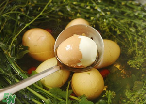 广西三月三是农历还是新历,三月三是农历还是阳历