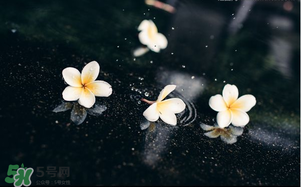 三月份下雨吗,最近这三天有雨吗