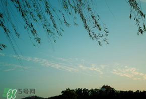 今年天气什么时候变暖,今年什么时候变暖 今年天气什么时候变暖,今年什么时候变暖