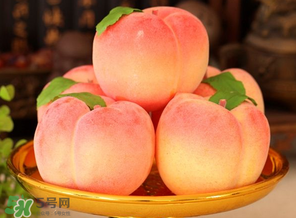 清明节扫墓带什么水果好,扫墓用什么水果