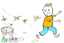 室内防蚊子的最好办法,家里养什么植物驱蚊子