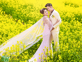 四月份还有油菜花吗?,什么时候有油菜花