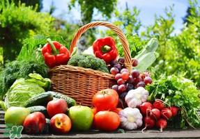 四月份什么水果上市了,一年四季水果上市时间 四月份什么水果上市了,一年四季水果上市时间