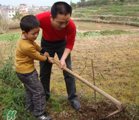 春天种什么菜蔬菜最合适,春天种什么药材最赚钱 春天种什么菜蔬菜最合适,春天种什么药材最赚钱