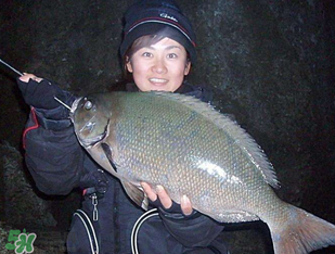 3月份钓鱼用什么饵料最好?,这个季节钓鱼用什么饵料