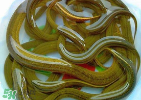 三月份可以钓黄鳝吗?,一月份可以钓黄鳝吗 三月份可以钓黄鳝吗?,一月份可以钓黄鳝吗