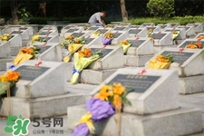 清明节的天气怎么样?,今年元旦的天气怎么样