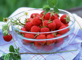 这个季节的草莓可以吃吗,现在季节草莓可以吃吗 这个季节的草莓可以吃吗,现在季节草莓可以吃吗