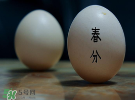 春分竖蛋的意义,春分竖蛋的科学原理