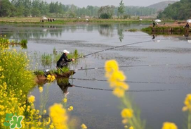 惊蛰钓鱼好钓吗,初冬钓鱼如何选钓位 惊蛰钓鱼好钓吗,初冬钓鱼如何选钓位