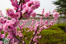 今年天气什么时候回暖,天气几月份回暖 今年天气什么时候回暖,天气几月份回暖