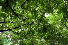 3月份能暖和吗,三月份暖和吗 3月份能暖和吗,三月份暖和吗