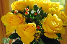 4月适合种什么花草,4月适合种什么花的种子