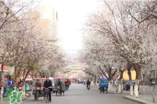 倒春寒一般是什么时候结束,倒春寒一般是什么时候2021