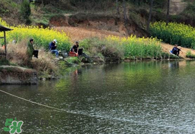 春天钓鱼用什么饵料最好,春天钓鱼用什么饵料钓鲫鱼