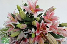 百合花放花瓶里怎么养,百合花怎么放在瓶子养