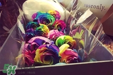 玫瑰花怎么浇水怎么养,玫瑰花放在水里怎么养可以放盐吗?