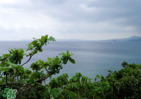 春天有雾霾吗,为什么冬天才有雾霾