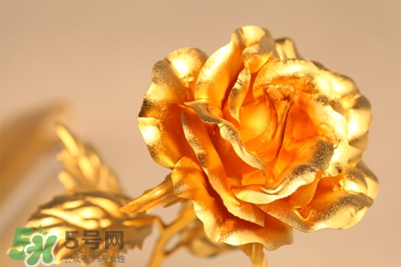 情人节除了送玫瑰还可以送什么花,为什么情人节要送玫瑰花