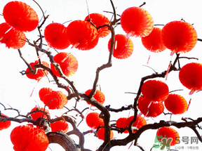 农历腊月二十四是什么星座,2001年腊月二十四是什么星座