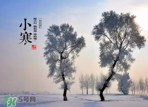 小寒和大寒哪个冷蚂蚁庄园,小寒和大寒哪个冷