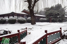 今年过年还会下雪吗,今年过年会下雪吗 今年过年还会下雪吗,今年过年会下雪吗