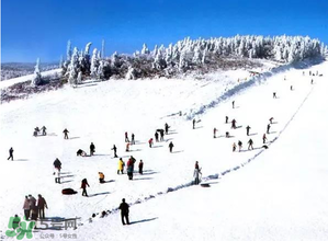 今年四九是哪天,今年四九第几天