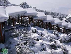 2017年第一场雪什么时候下的,2017年第一场雪是哪天