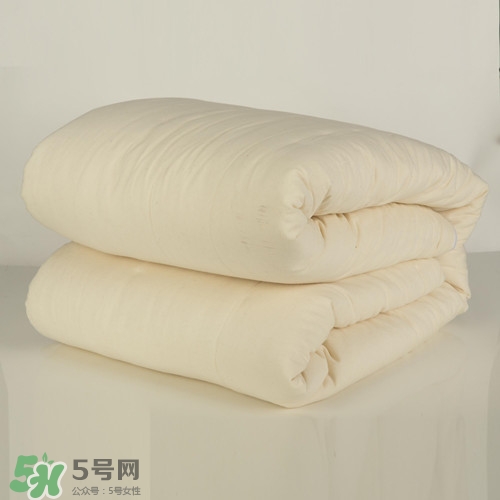 冬天盖什么被子最保暖,冬天什么被子好