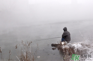 冬季的钓鱼技巧和用饵,冬天钓鱼什么饵料