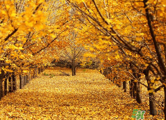 空调冬天开多少度合适,冬天空调开多少度合适睡觉 空调冬天开多少度合适,冬天空调开多少度合适睡觉