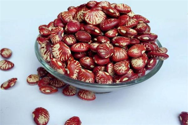 孕妇能吃花豆吗,孕妇能吃花豆吗 初期