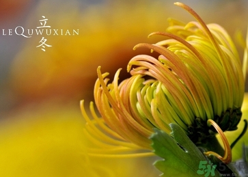 立冬可以钓鱼吗,冬天能不能钓鱼 立冬可以钓鱼吗,冬天能不能钓鱼