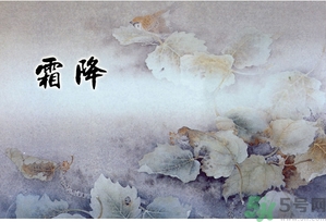 霜降吃柿子的来历,霜降 柿子 霜降吃柿子的来历,霜降 柿子