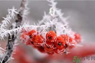 霜降是几月几日2021年,今年霜降是几月几日