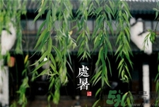 处暑是什么时候代表什么意思,处暑指的是什么时候