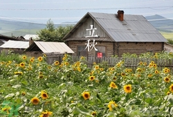 早立秋和晚立秋的区别,早立秋晚立秋的说法