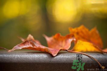 立秋是什么意思含义,立秋是什么意思?时间是什么时候? 立秋是什么意思含义,立秋是什么意思?时间是什么时候?