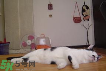 夏天睡凉席好不好?,冬天睡凉席好吗