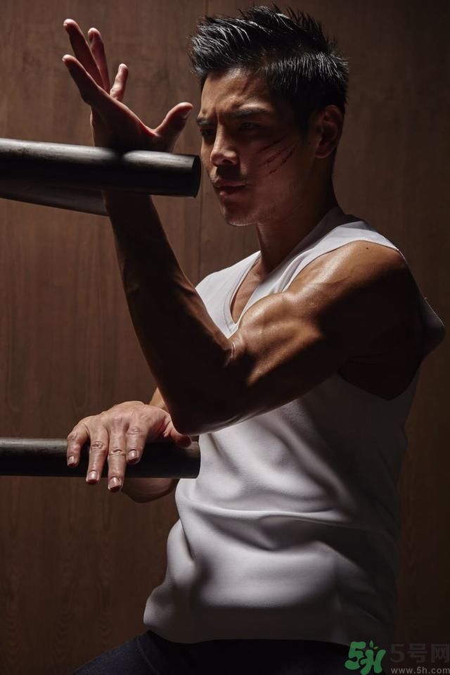 向佐郭碧婷,向佐的肾为什么是70岁